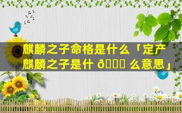 麒麟之子命格是什么「定产麒麟之子是什 🐘 么意思」